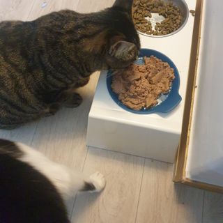 숑굥님이 올린 리뷰 사진 3