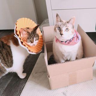 코코민네님이 올린 리뷰 사진 1