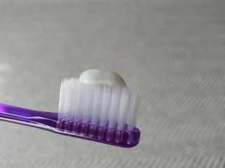 소담님이 올린 리뷰 사진 4