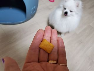 ssosso_yab님이 올린 리뷰 사진 4