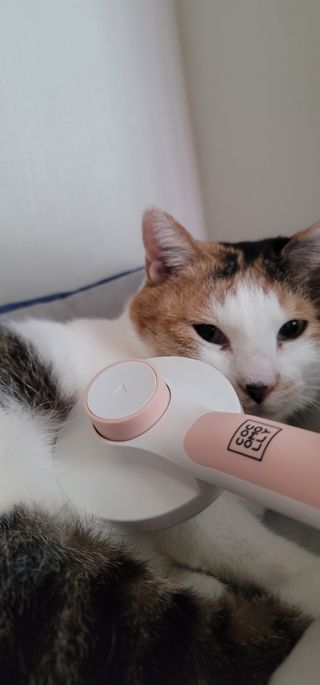 전소민님이 올린 리뷰 사진 4