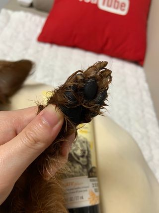소다뷰님이 올린 리뷰 사진 3