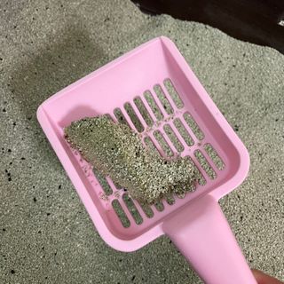 주라님이 올린 리뷰 사진 3