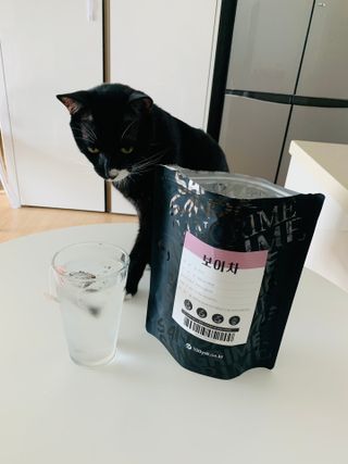 오둥이맘님이 올린 리뷰 사진 2