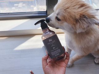 마리앤루이펫샴푸 [mari and louie pet shampoo] — 5점을 준 리뷰어가 2021년 5월 올린 사용 사진