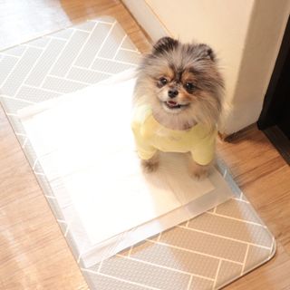 오코리타님이 올린 리뷰 사진 2