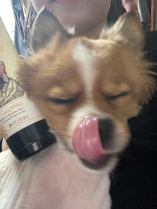 묨묨님이 올린 리뷰 사진 1
