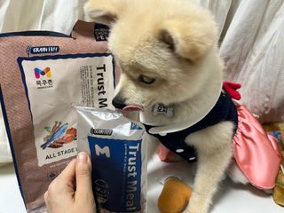 LeeMin님이 올린 리뷰 사진 2