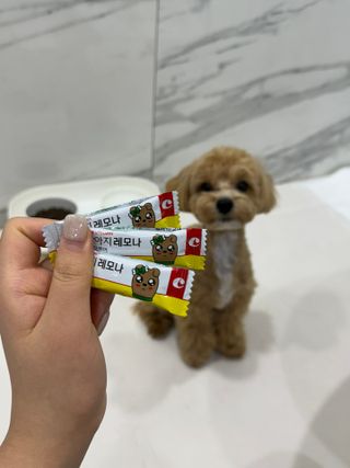 마루네님이 올린 리뷰 사진 2