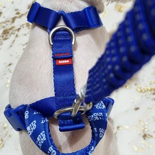 banew님이 올린 리뷰 사진 4