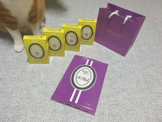 몽베스트 위드더 블랜딩 하우스 _레몬 블랙티 — 4점을 준 리뷰어가 2022년 12월 올린 사용 사진