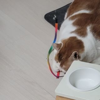 쓔리님이 올린 리뷰 사진 3