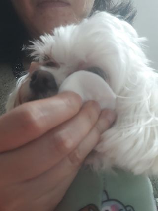 빛날Hwan님이 올린 리뷰 사진 4