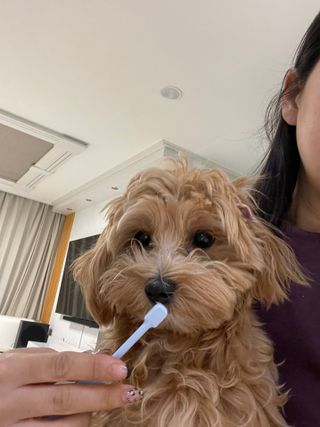 leah님이 올린 리뷰 사진 1