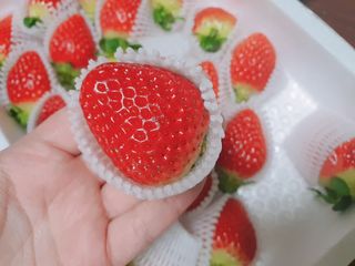 옳음 딸기 논산 설향 딸기 900g 산지직송 — 5점을 준 리뷰어가 2021년 1월 올린 사용 사진