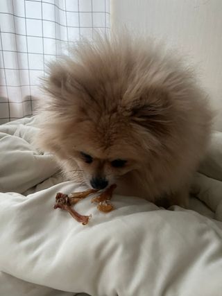짱아언니님이 올린 리뷰 사진 4