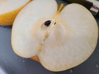 찌나님이 올린 리뷰 사진 4