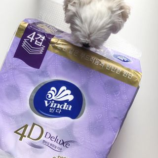 빈다 4Deluxe 4겹 엠보싱 롤 화장지 — 5점을 준 리뷰어가 2022년 2월 올린 사용 사진