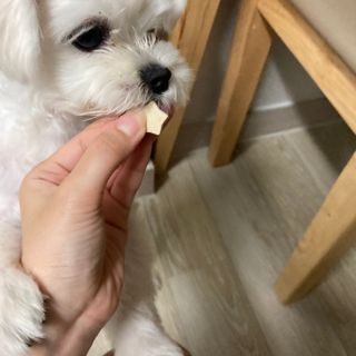 잇쿠님이 올린 리뷰 사진 3