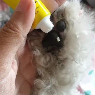 BlossomY님이 올린 리뷰 사진 2