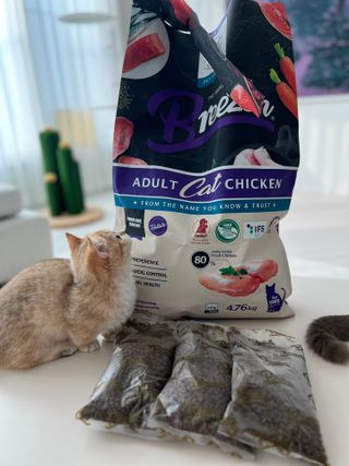 이채오닝님이 올린 리뷰 사진 1