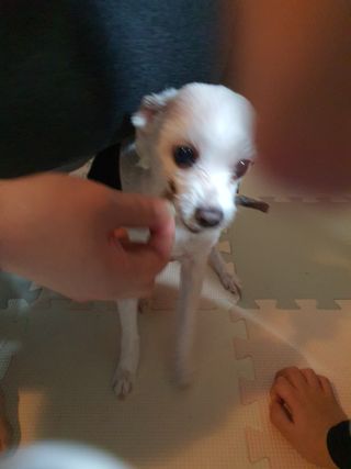 KanginLee님이 올린 리뷰 사진 4