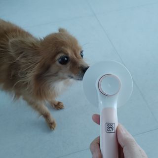 Rushx님이 올린 리뷰 사진 4