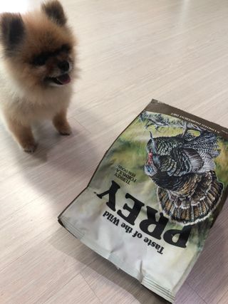 쭈야님이 올린 리뷰 사진 1