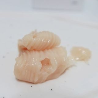 (주)닥터오레고닌 닥터오레고닌 탁시폴린 에디션 트리트먼트 — 5점을 준 리뷰어가 2023년 9월 올린 사용 사진