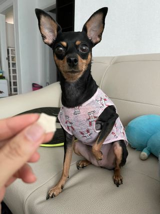 도도님이 올린 리뷰 사진 4