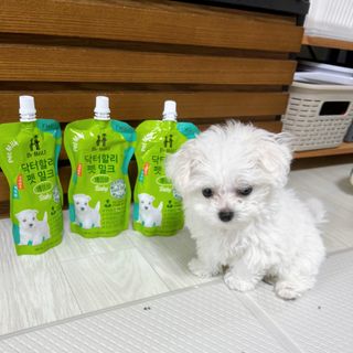 뭉히님이 올린 리뷰 사진 3