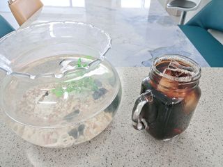 무라벨 바리스타룰스 디카페인 아메리카노 — 5점을 준 리뷰어가 2024년 4월 올린 사용 사진