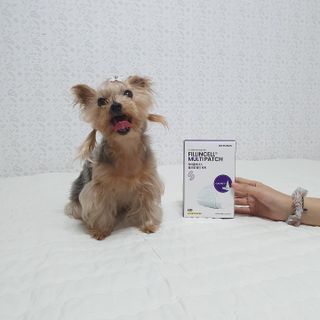 솜희님이 올린 리뷰 사진 3