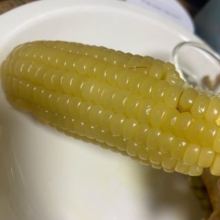 세지니힛님이 올린 리뷰 사진 3