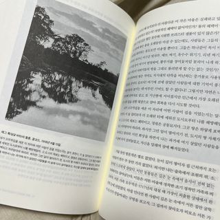묨묨님이 올린 리뷰 사진 4