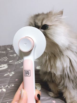 꼬끼오님이 올린 리뷰 사진 2