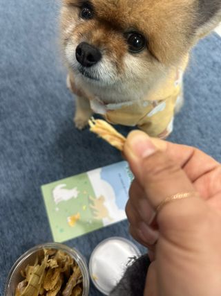 쭈야님이 올린 리뷰 사진 4