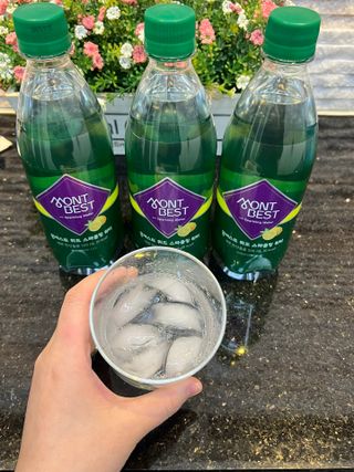 몽베스트 Montbest with Sparkling water Lemon OR Lime 20병(랜덤) — 5점을 준 리뷰어가 2023년 2월 올린 사용 사진