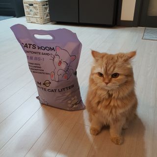 미미님이 올린 리뷰 사진 1