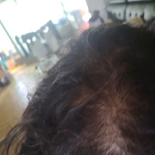 피치피치님이 올린 리뷰 사진 3