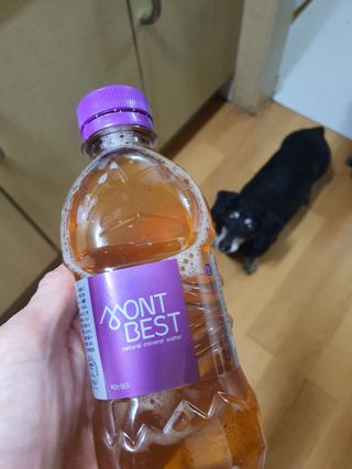 몽베스트 [MONTBEST] 330mL 20병 — 5점을 준 리뷰어가 2024년 3월 올린 사용 사진