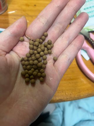 향2님이 올린 리뷰 사진 3