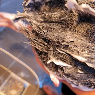밍짜응님이 올린 리뷰 사진 3