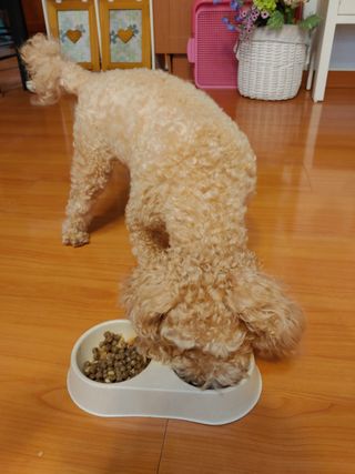 안토니오님이 올린 리뷰 사진 3