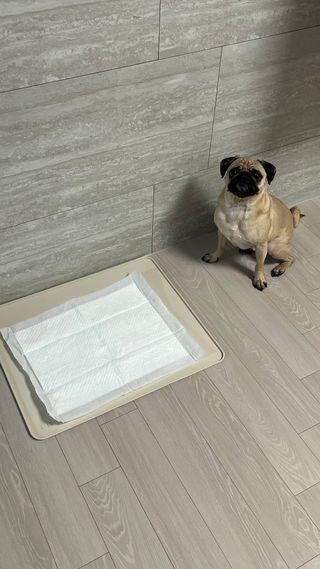 은때님이 올린 리뷰 사진 2
