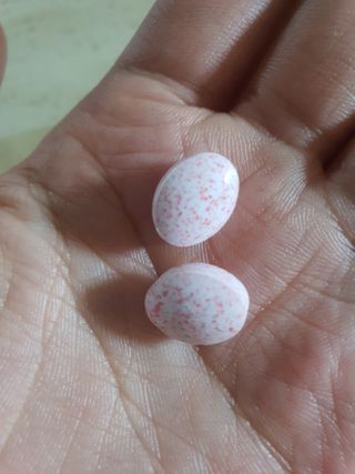 입 냄새 완화에 도움을 주는 에티켓 캔디 복숭아맛 앳캔디 — 3.5점을 준 리뷰어가 2021년 1월 올린 사용 사진
