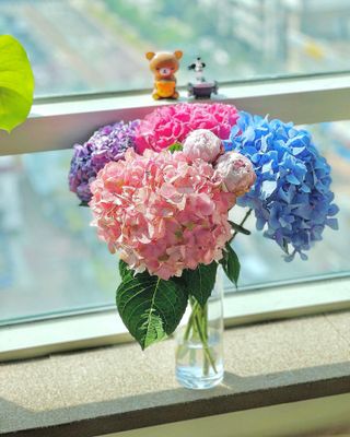 풀잎이님이 올린 리뷰 사진 2