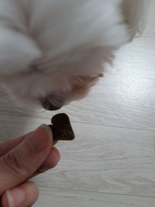 😍0.8리터러브😍님이 올린 리뷰 사진 4