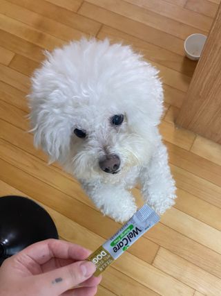 씩씩한리니님이 올린 리뷰 사진 1