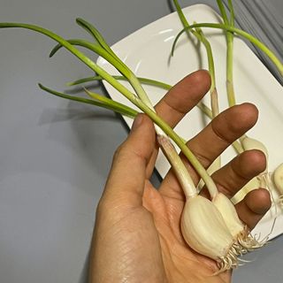 pse5656님이 올린 리뷰 사진 2